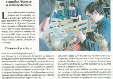 « Dix élèves qualifiés pour le régional » – Le Sillon