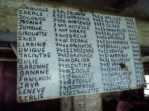 1710_auvergne (4)