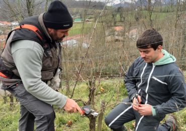 Découverte de la viticulture dans les vignes d’Irouléguy