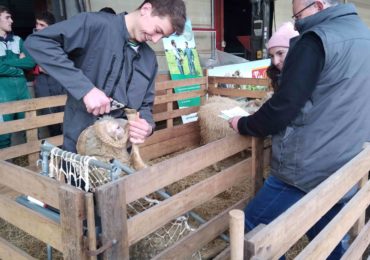 4 qualifiés aux Ovinpiades à Oloron