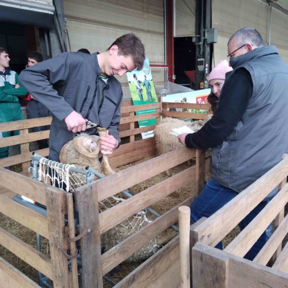 4 qualifiés aux Ovinpiades à Oloron