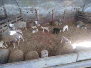 voyage-limousin-9-600x450